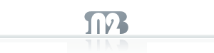 N2 logo